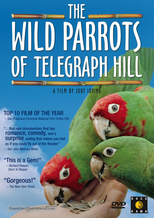 The Wild Parrots of Telegraph Hill - Movie Cover