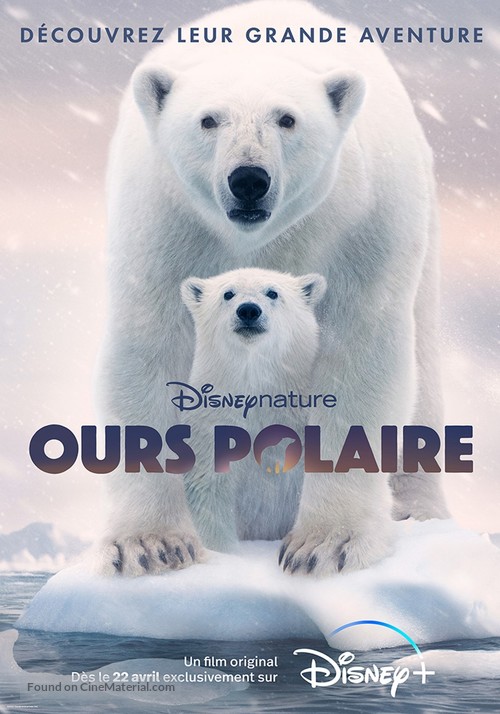 Polar Bear - French Movie Poster