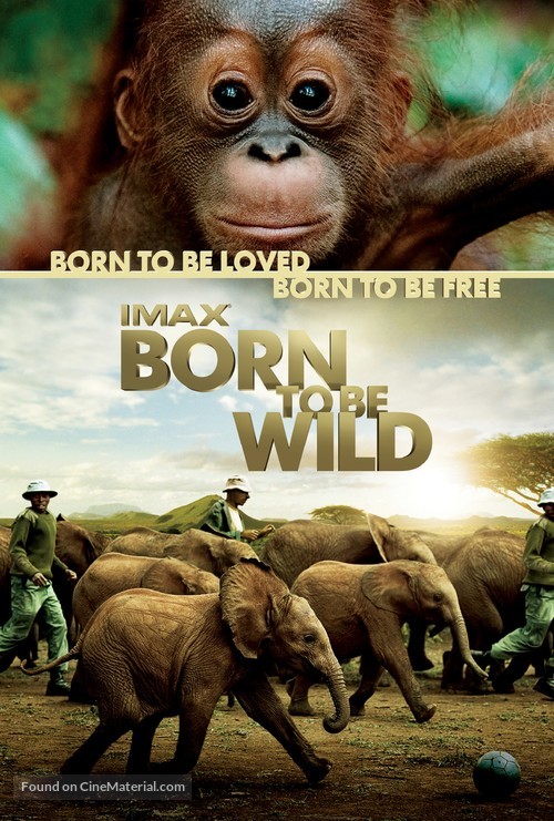 Born to Be Wild - Movie Poster