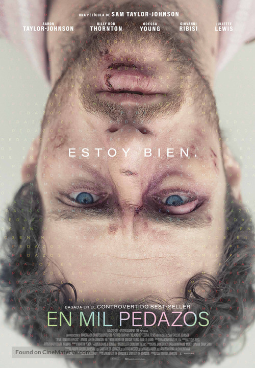 A Million Little Pieces - Spanish Movie Poster