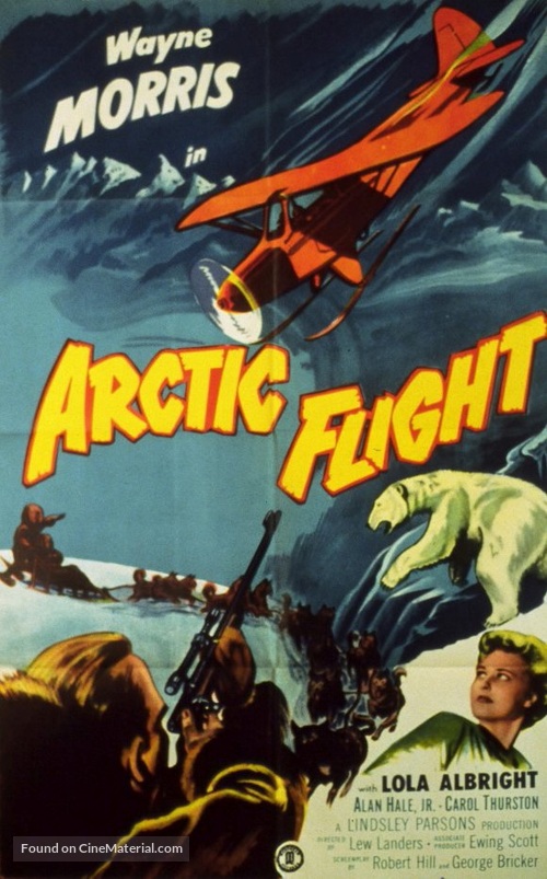 Arctic Flight - Movie Poster