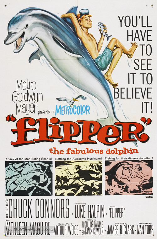 Flipper - Movie Poster