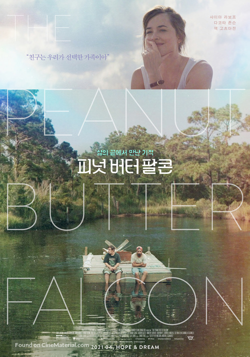 The Peanut Butter Falcon - South Korean Movie Poster