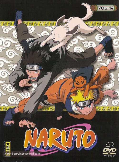 &quot;Naruto&quot; - French DVD movie cover