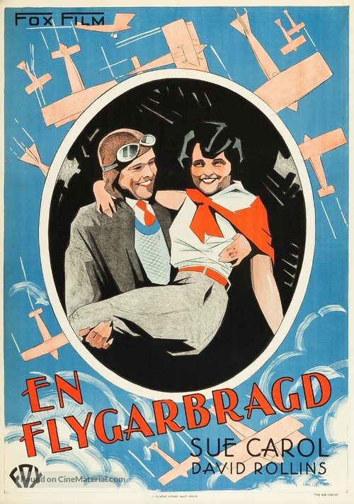 The Air Circus - Swedish Movie Poster