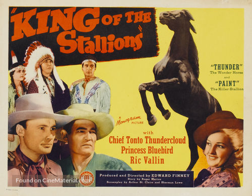 King of the Stallions - Movie Poster