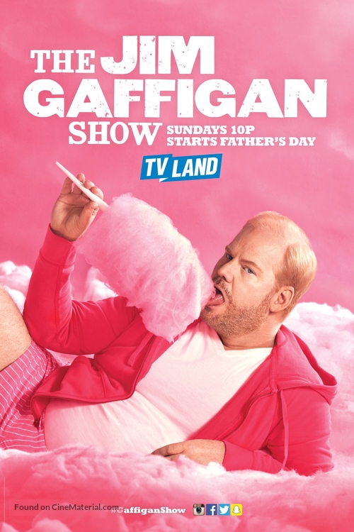&quot;The Jim Gaffigan Show&quot; - Movie Poster