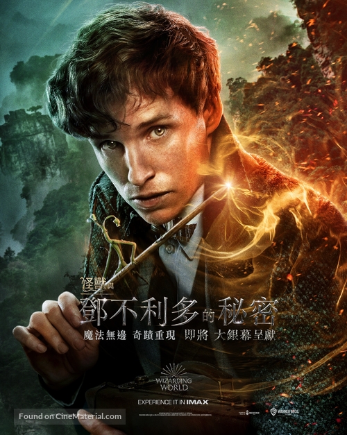 Fantastic Beasts: The Secrets of Dumbledore - Hong Kong Movie Poster