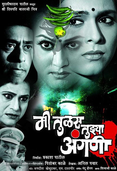 Mee Tulas Tujhya Angani - Indian Movie Poster