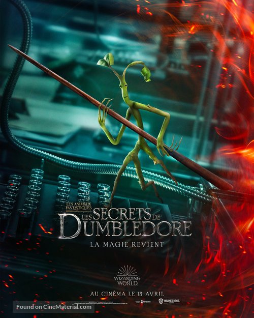 Fantastic Beasts: The Secrets of Dumbledore - French Movie Poster