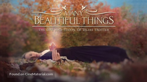 Many Beautiful Things - Movie Poster