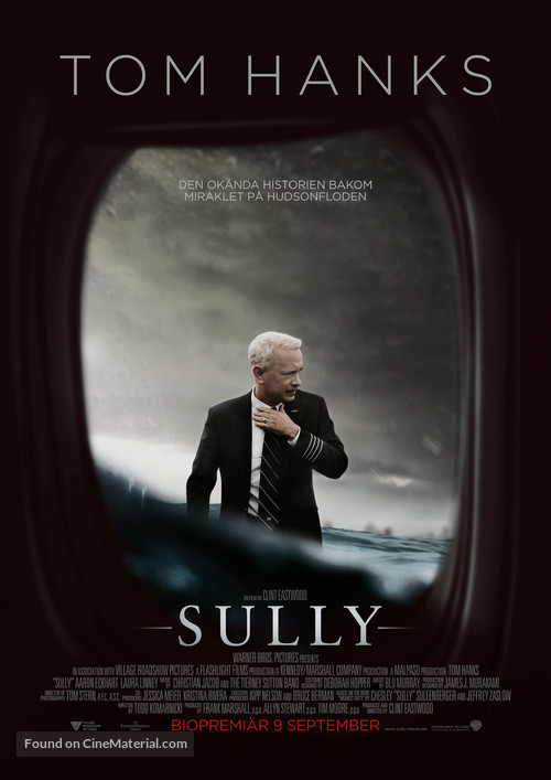 Sully - Swedish Movie Poster