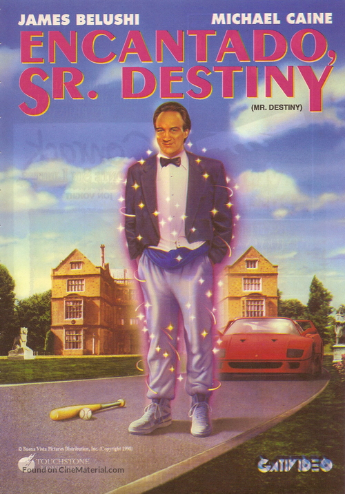 Mr. Destiny - Argentinian DVD movie cover