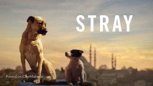 Stray - poster