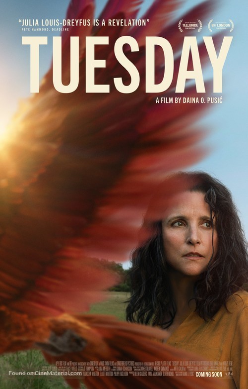 Tuesday - Movie Poster