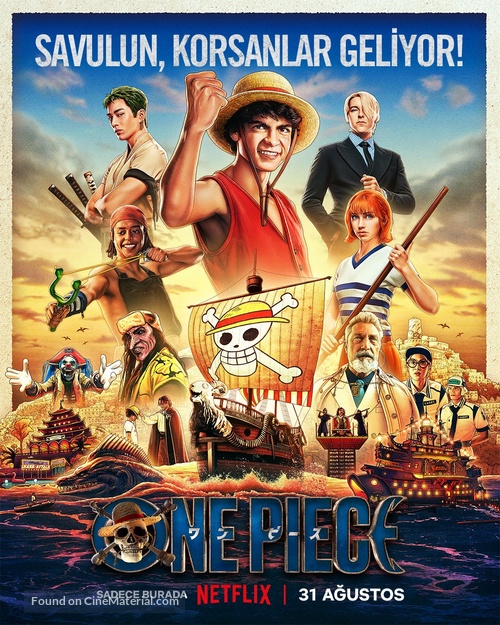 &quot;One Piece&quot; - Turkish Movie Poster