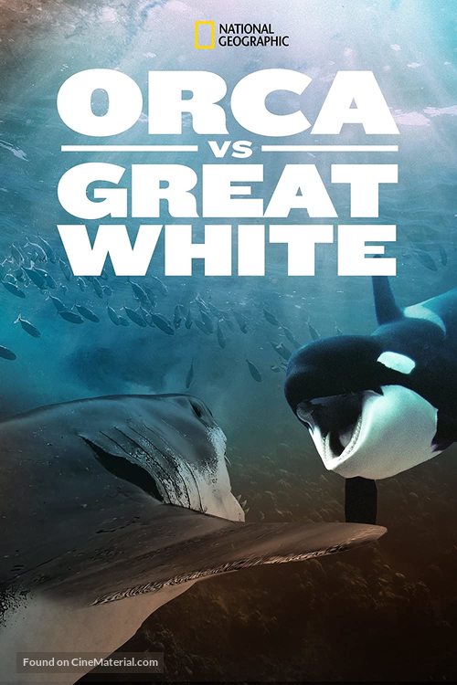 Orca vs. Great White - Movie Poster