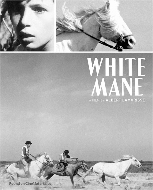 Crin blanc: Le cheval sauvage - Movie Cover