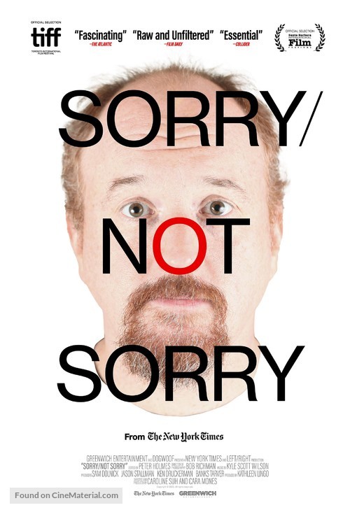 Sorry/Not Sorry - Movie Poster