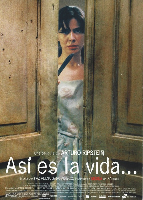 As&iacute; es la vida - Spanish Movie Poster