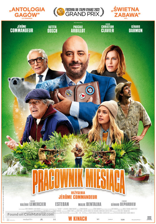 Irr&eacute;ductible - Polish Movie Poster