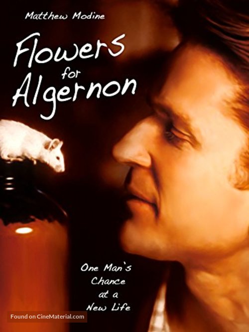 Flowers for Algernon - Movie Cover