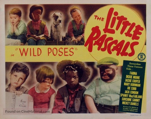 Wild Poses - Movie Poster