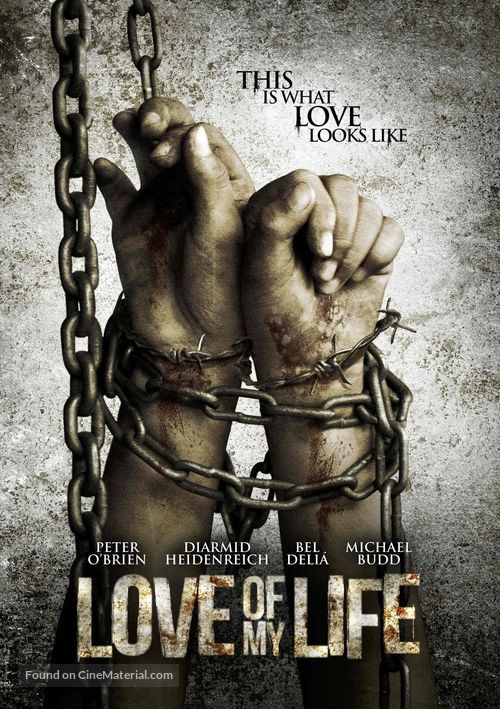 Love of my Life - DVD movie cover