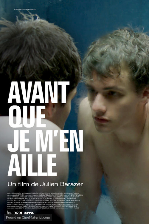 Avant que je m&#039;en aille - French Movie Poster