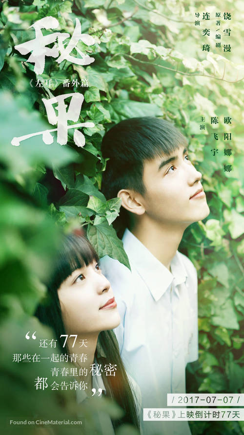 Mi Guo - Chinese Movie Poster