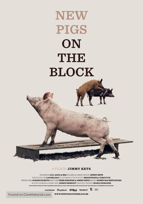 New Pigs on the Block - Belgian Movie Poster