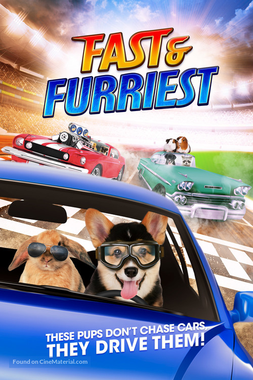 Fast and Furriest - Movie Cover