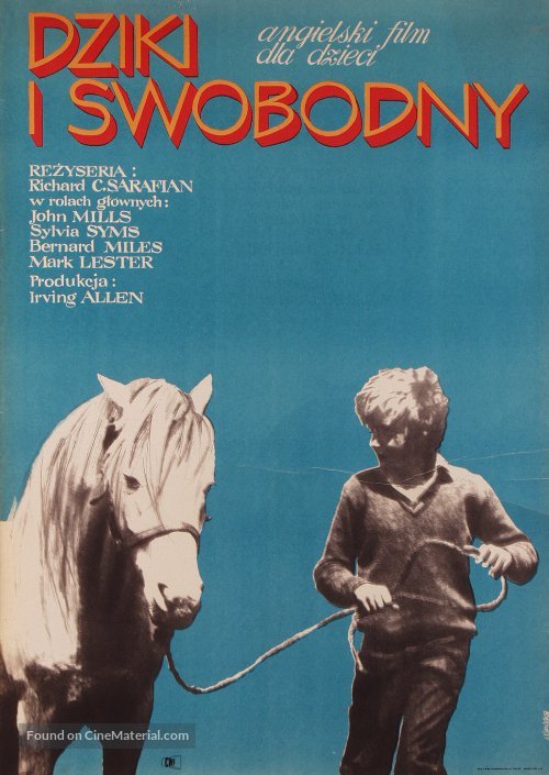Run Wild, Run Free - Polish Movie Poster