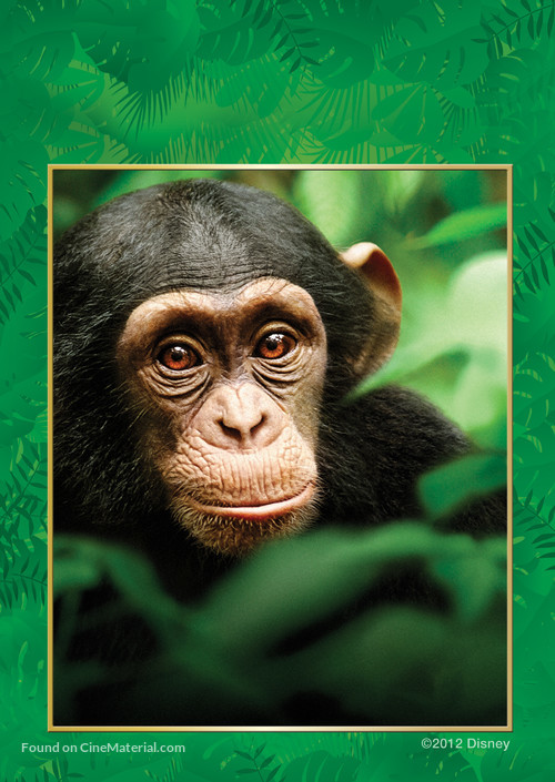 Chimpanzee - Key art