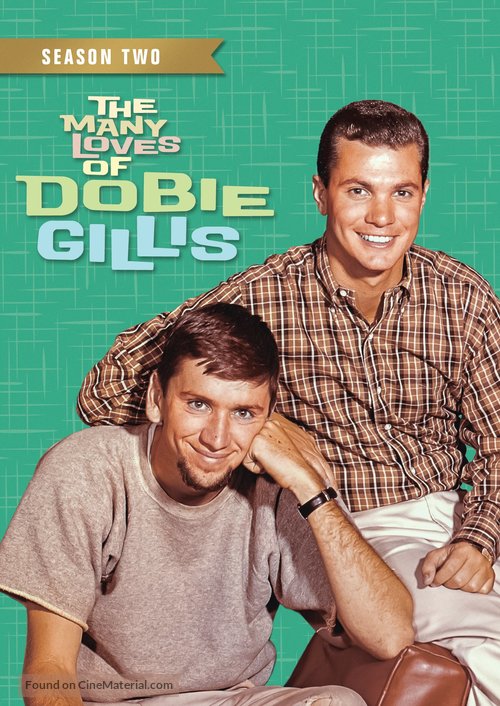 &quot;The Many Loves of Dobie Gillis&quot; - DVD movie cover
