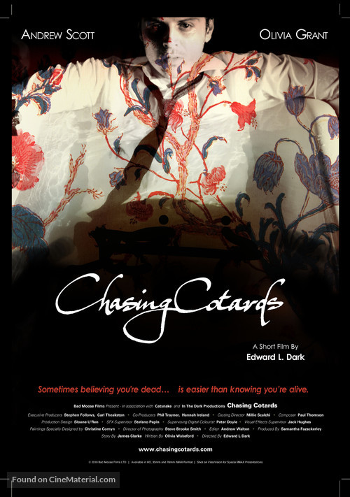 Chasing Cotards - Movie Poster