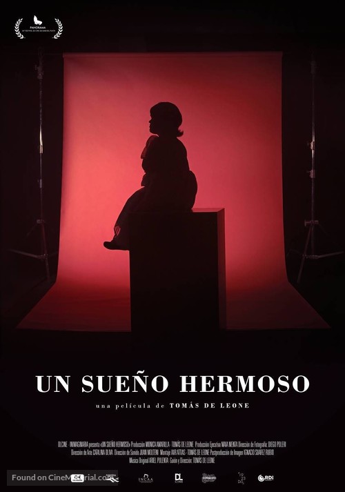 Un sue&ntilde;o hermoso - Argentinian Movie Poster