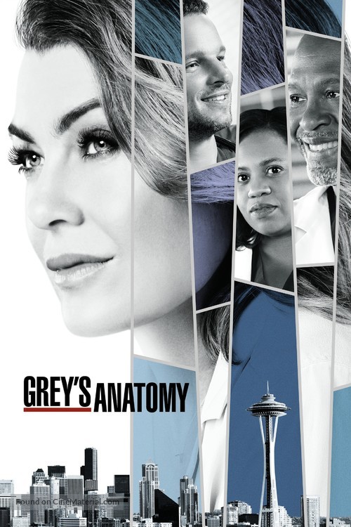 &quot;Grey&#039;s Anatomy&quot; - Movie Cover