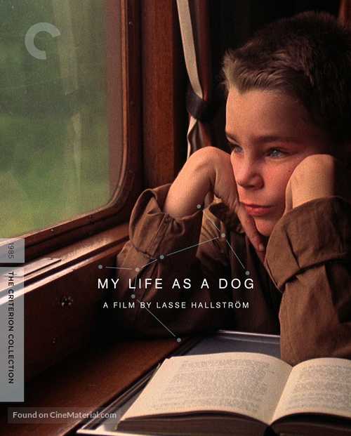 Mitt liv som hund - Blu-Ray movie cover