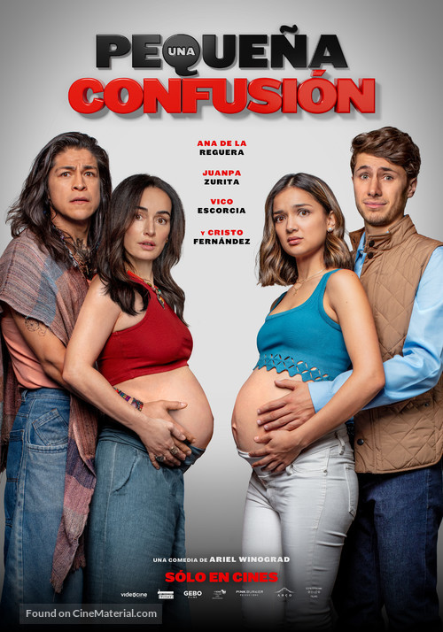 Una Peque&ntilde;a Confusion - Mexican Movie Poster