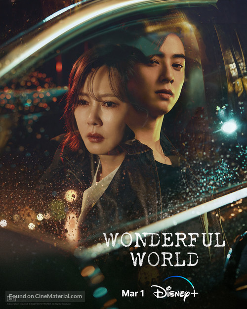 &quot;Wonderful World&quot; - Movie Poster