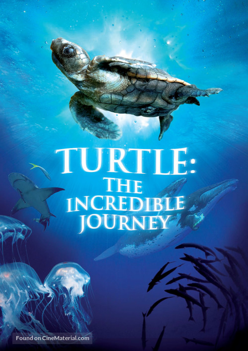 Turtle: The Incredible Journey - Movie Poster
