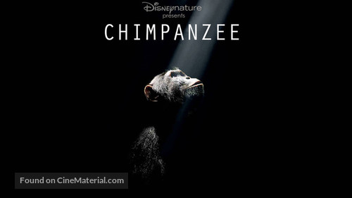 Chimpanzee - Movie Poster