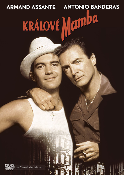 The Mambo Kings - Czech Movie Cover