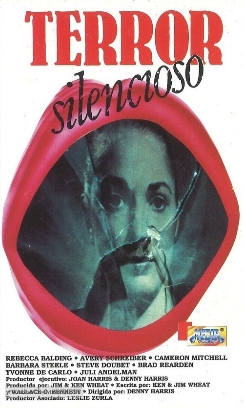 The Silent Scream - Spanish VHS movie cover