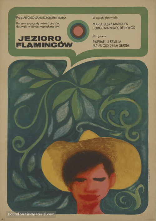 Para&iacute;so escondido - Polish Movie Poster