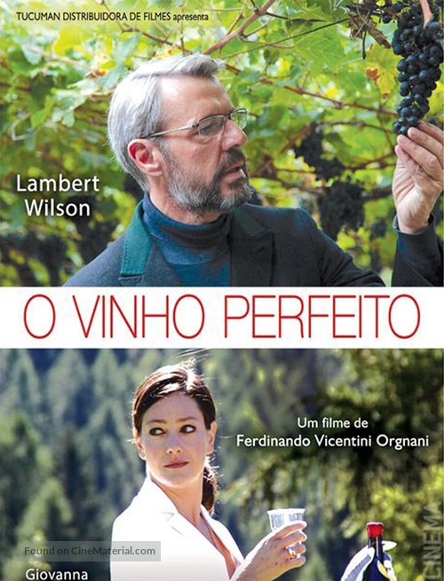 Vino dentro - Portuguese Movie Poster