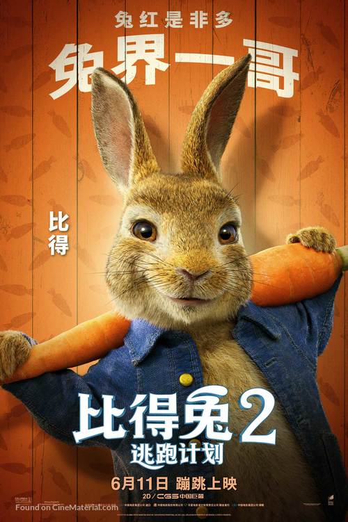 Peter Rabbit 2: The Runaway - Chinese Movie Poster