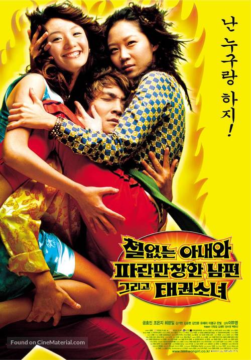 Cheoleobtneun anaewa paramanjanhan nampyeon geurigo taekwon sonyeo - South Korean Movie Poster