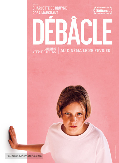 Het smelt - French Movie Poster